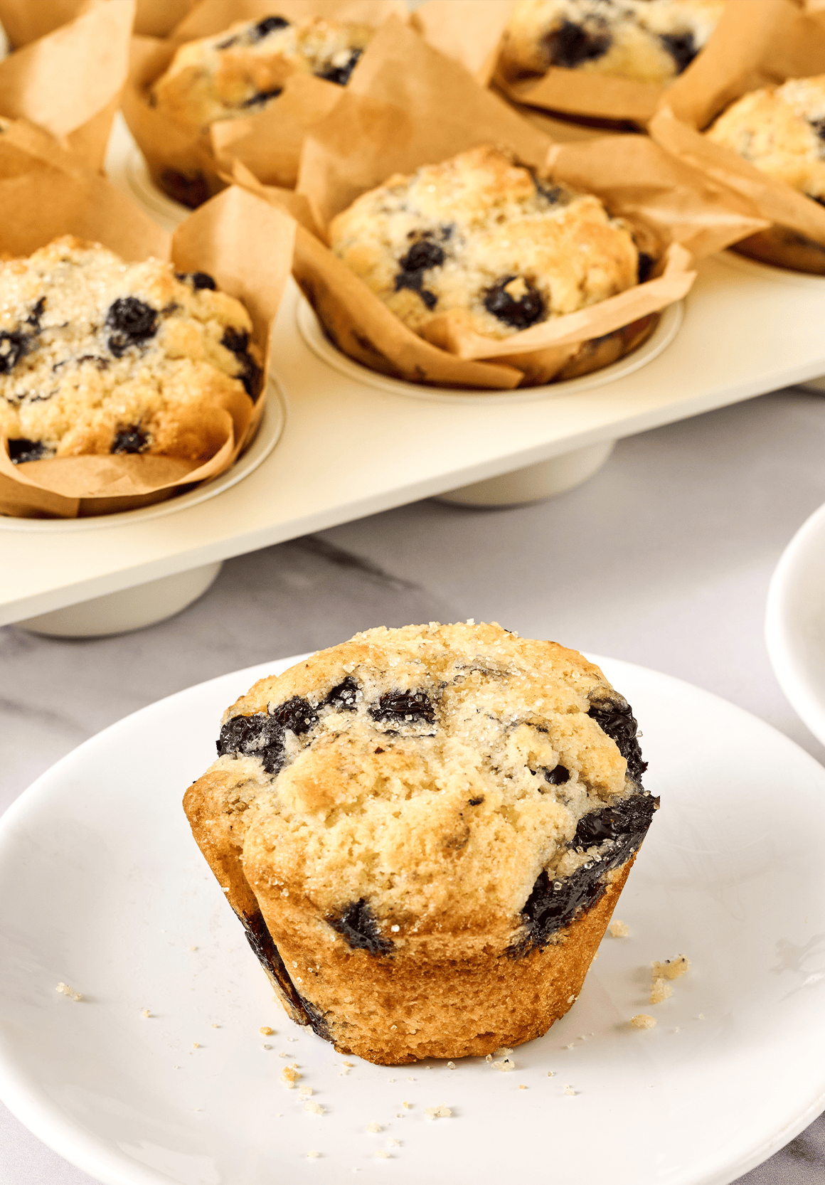 Blueberry Muffins